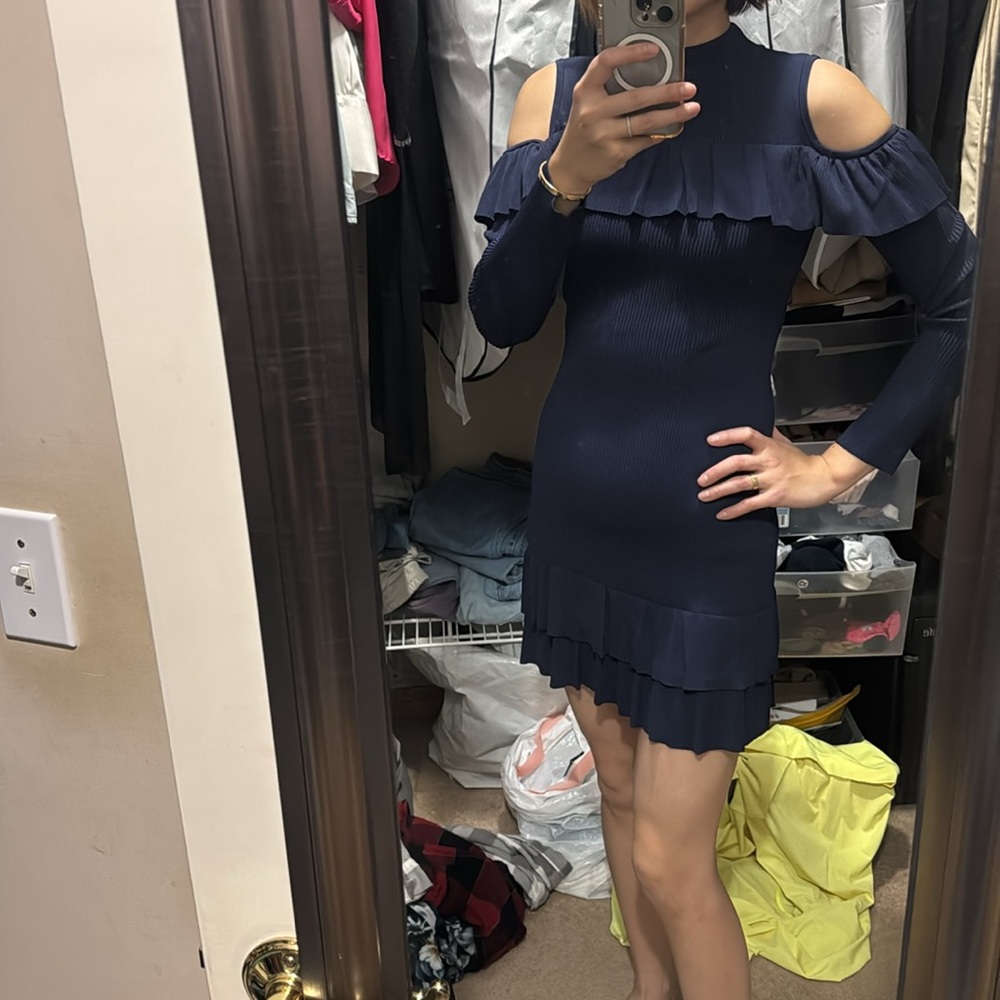 Bebe knit dress